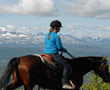 Troms Region North Norway Horse Riding