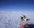 Troms Region North Norway Husky Dog Adventures